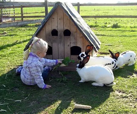 Am Birkensee Pensionat Detern