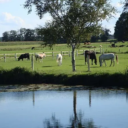 Am Birkensee Guest house