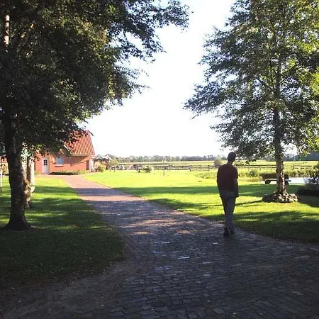 Am Birkensee *
