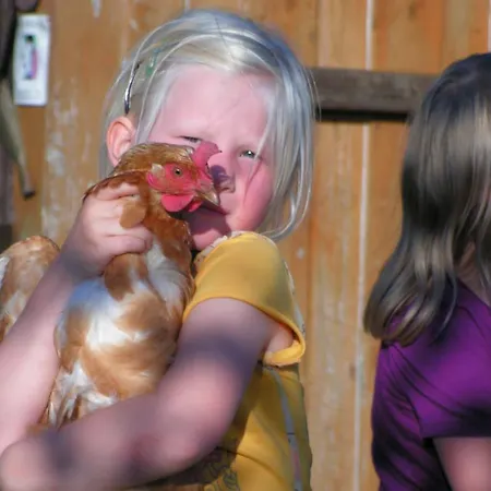 Pensionat Am Birkensee 3*