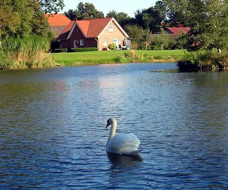 Am Birkensee *