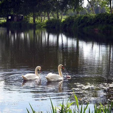 Am Birkensee *
