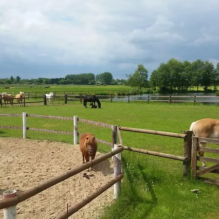 Am Birkensee 게스트하우스