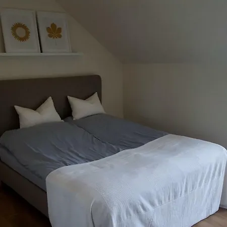 Am Birkensee Guest house